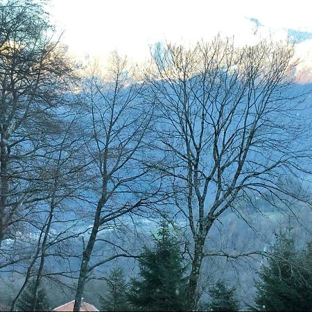 Chalet Du Bois Des Fugiers Ужин Екстериор снимка